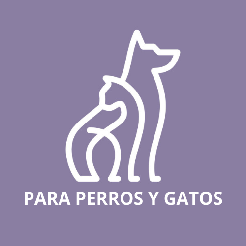 SPA Perros y Gatos45